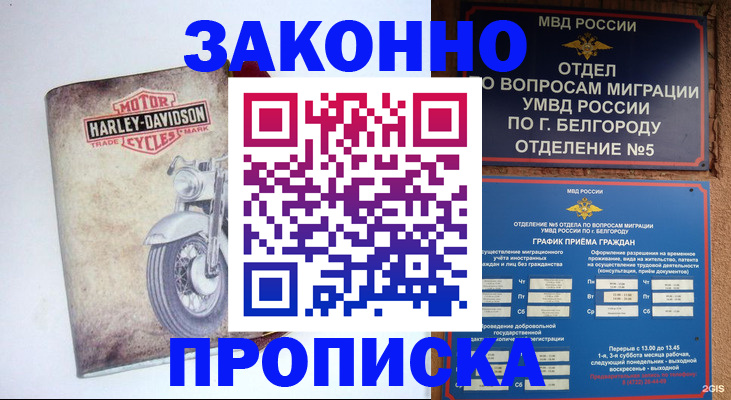 прописка для школы в Опочке